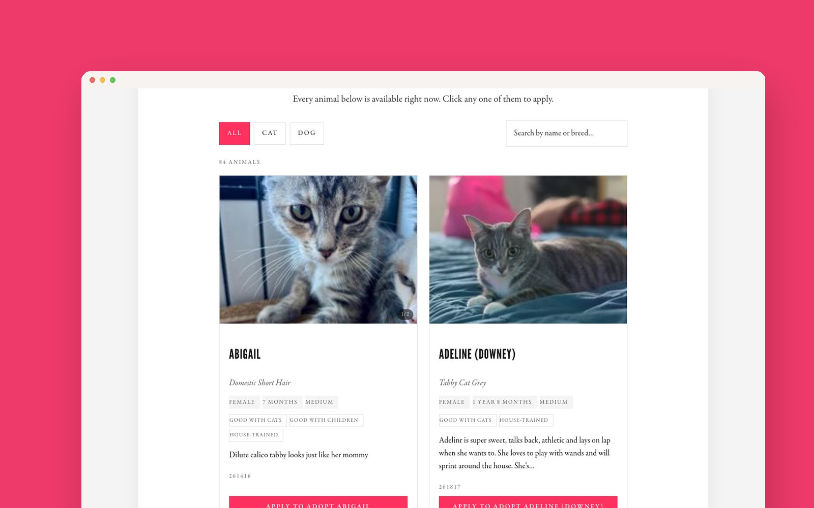 The Pedro Pet Pals adopt page: filters for all, cats and dogs, and animal cards with photos, details and an Apply to adopt button.